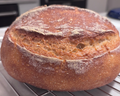Gluten Free Sourdough Boule