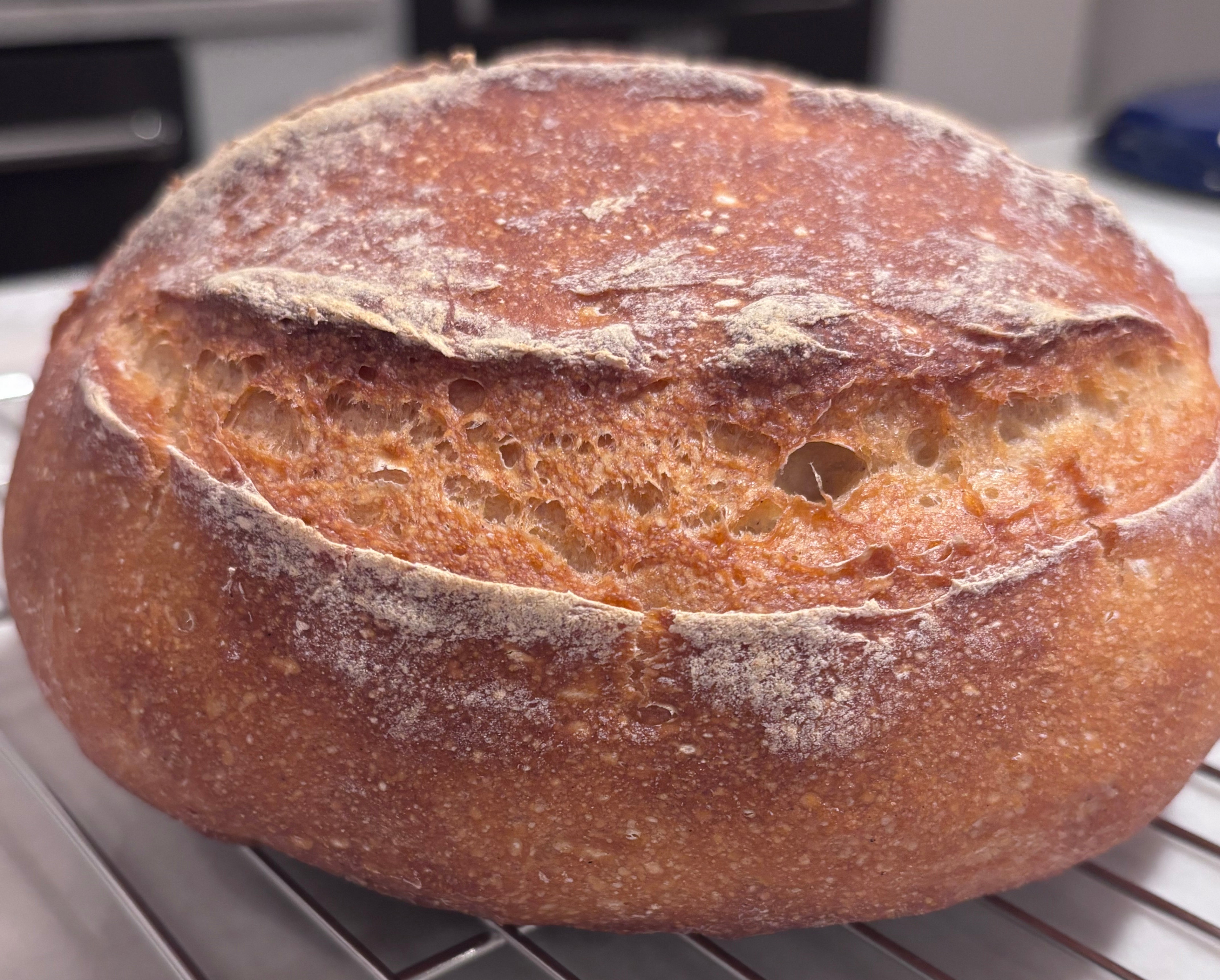 Gluten Free Sourdough Boule