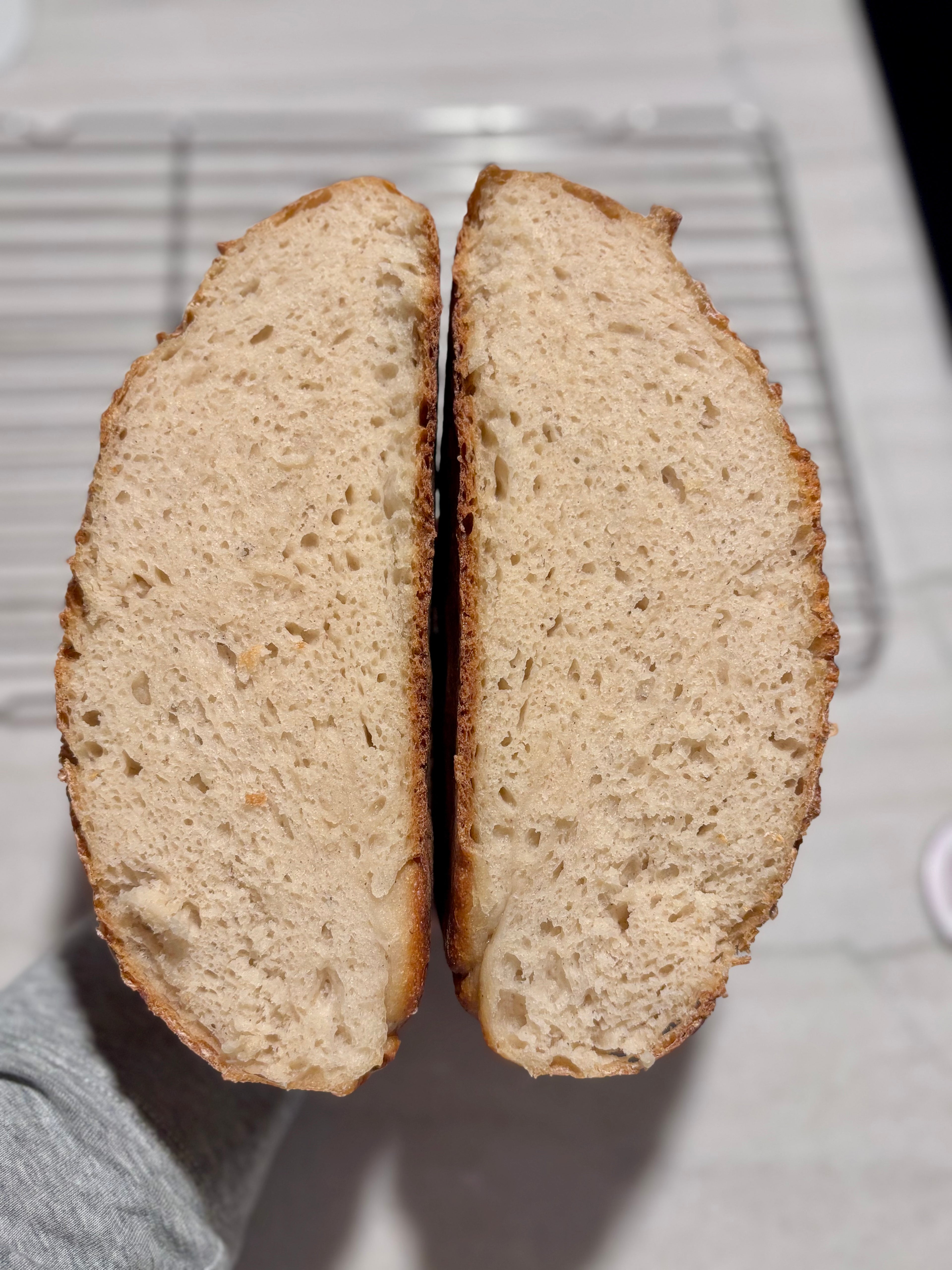 Gluten Free Sourdough Boule