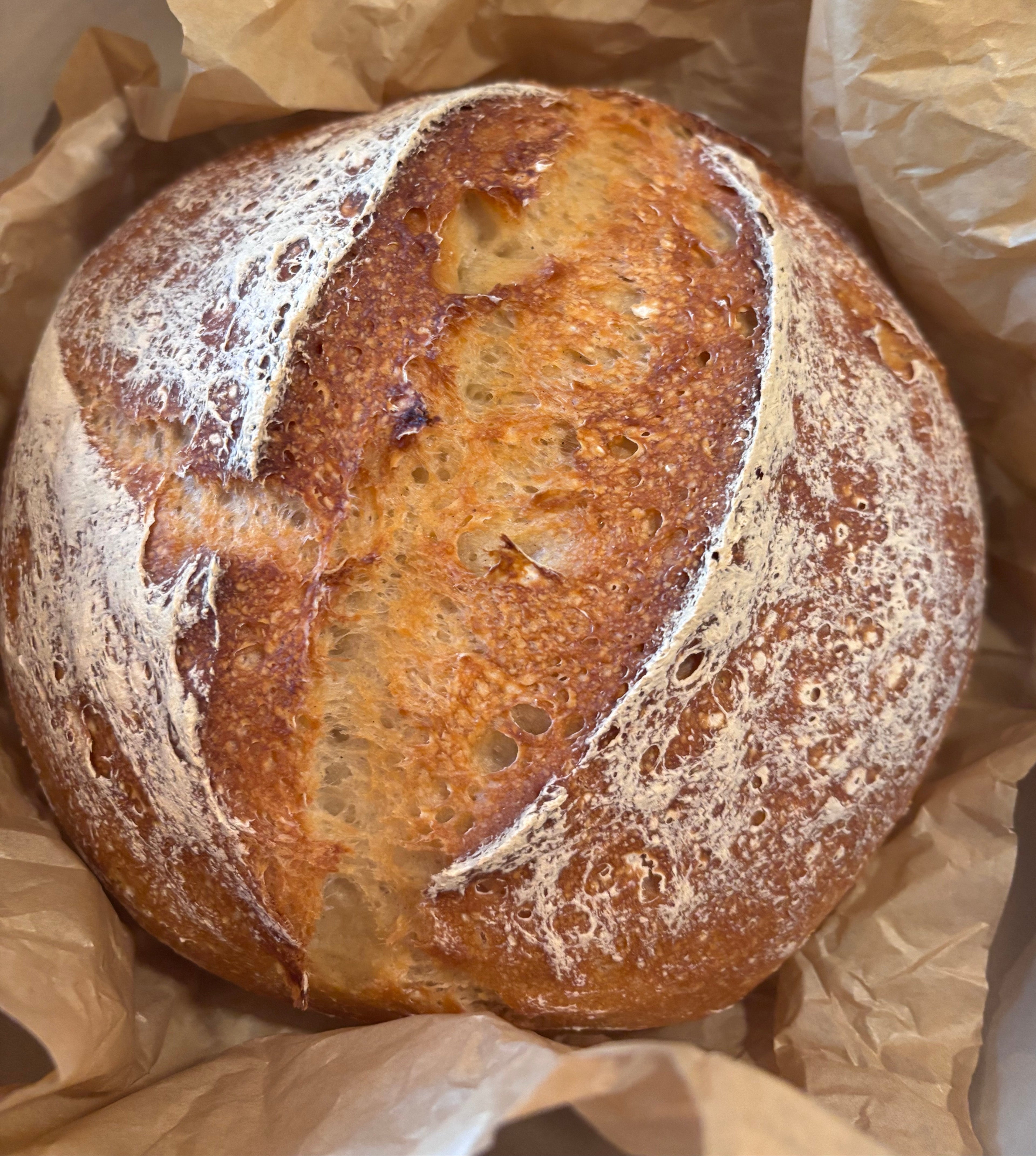 Gluten Free Sourdough Boule